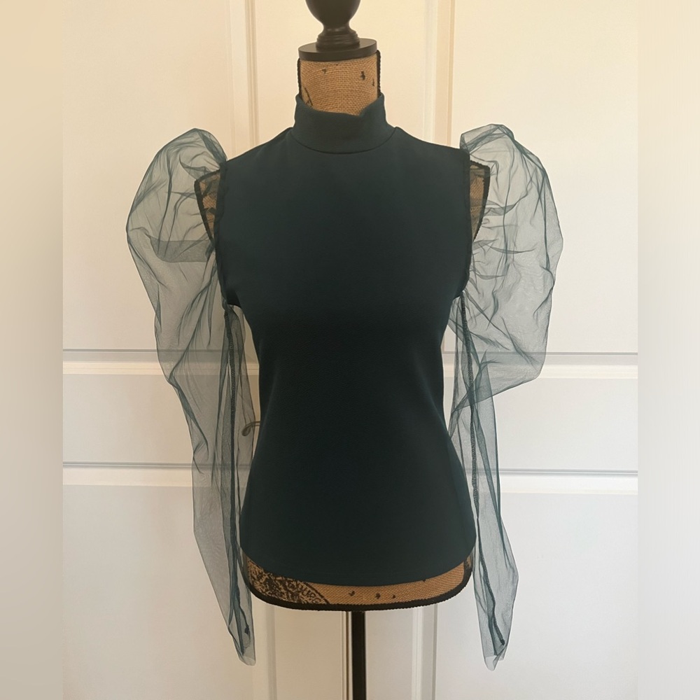 Mark neck, long sleeve blouse with sheer sleeves Hunter Green. Back zipper.